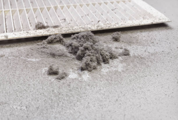 Best Professional Duct Cleaning Services  in Carolina Shores, NC