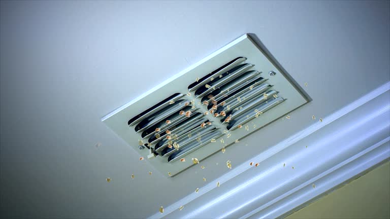 Best Affordable HVAC Duct Cleaning  in Carolina Shores, NC